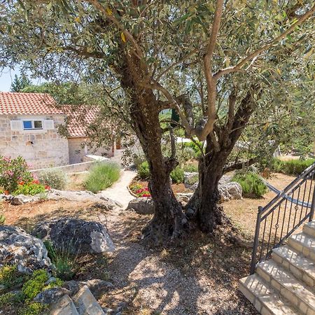 סטון Olive Garden Apartment מראה חיצוני תמונה
