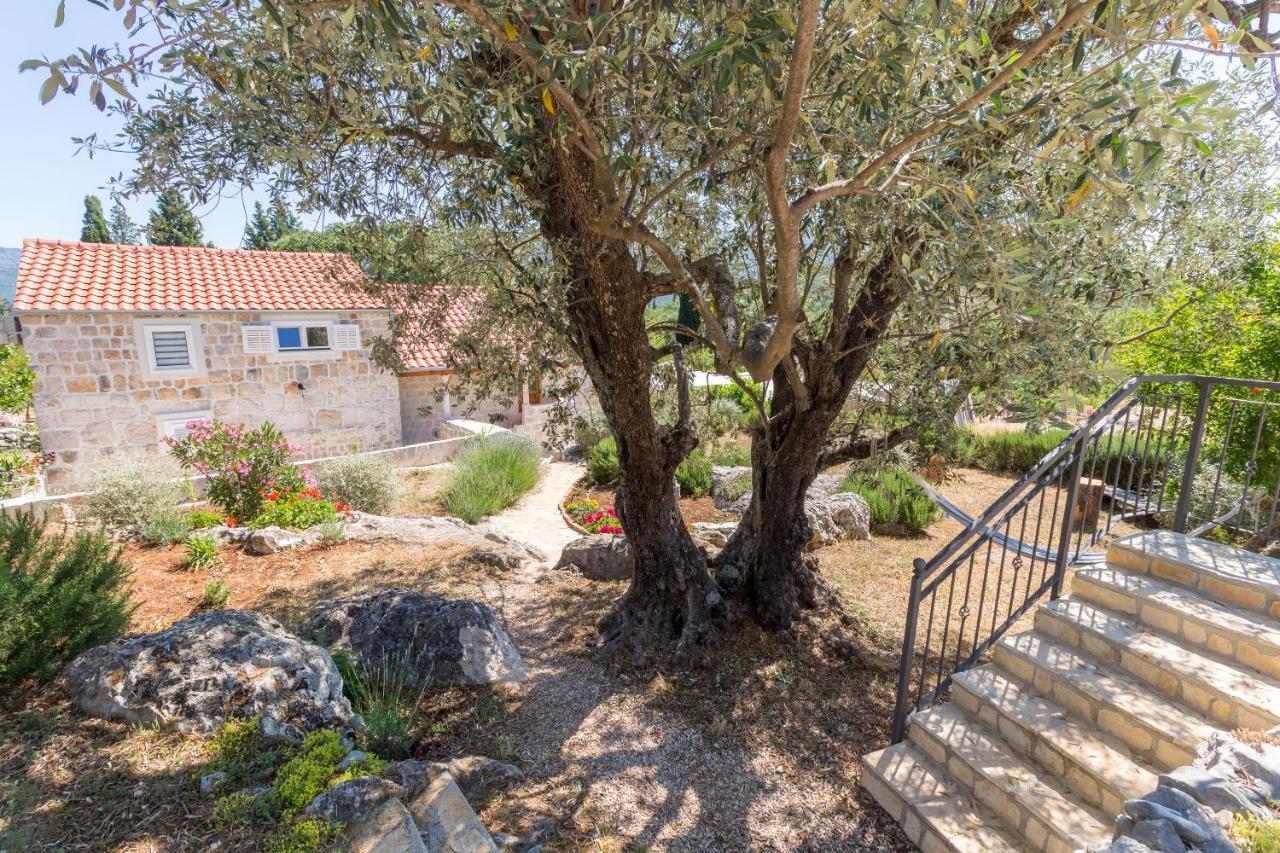 סטון Olive Garden Apartment מראה חיצוני תמונה