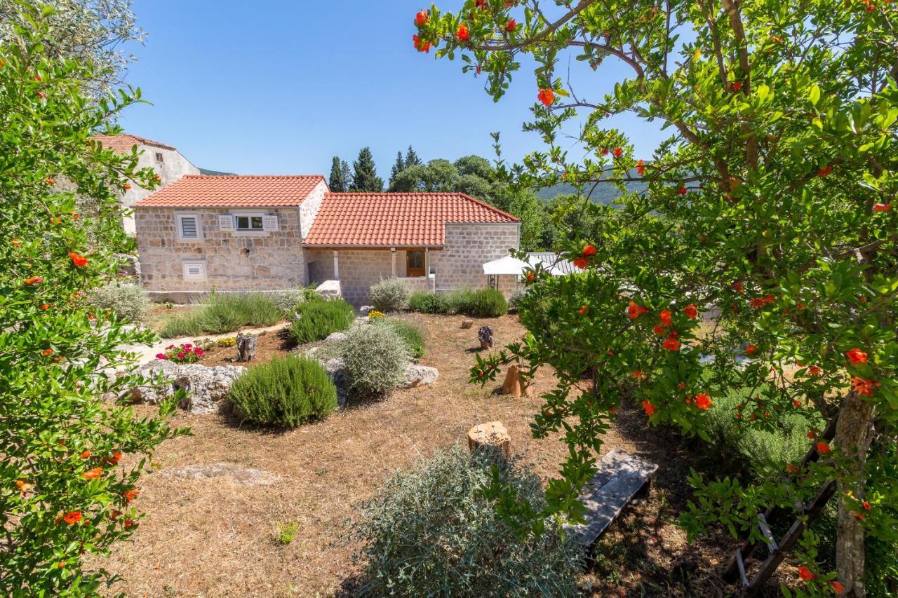 סטון Olive Garden Apartment מראה חיצוני תמונה